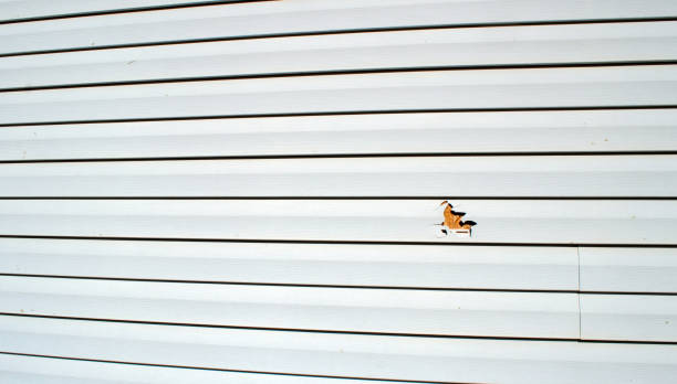 Siding for Commercial Buildings in Chalfant, CA